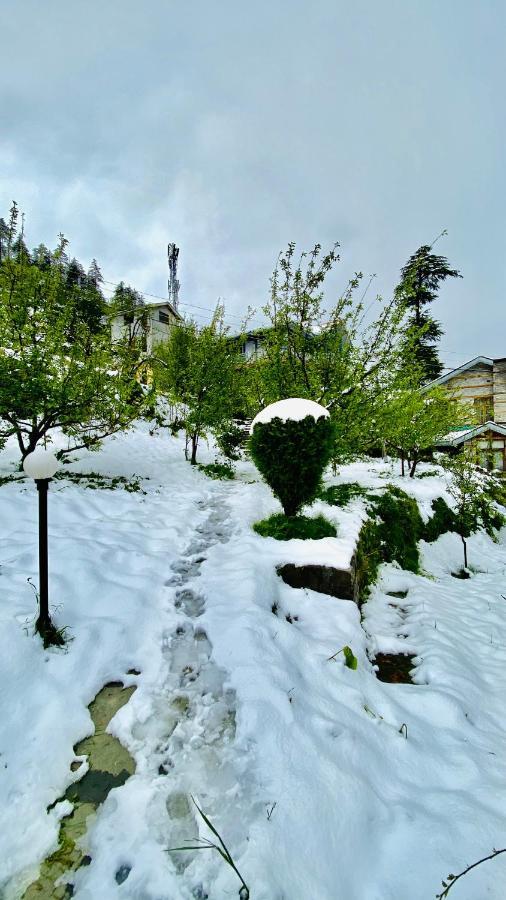 Sahira - The Orchard House *