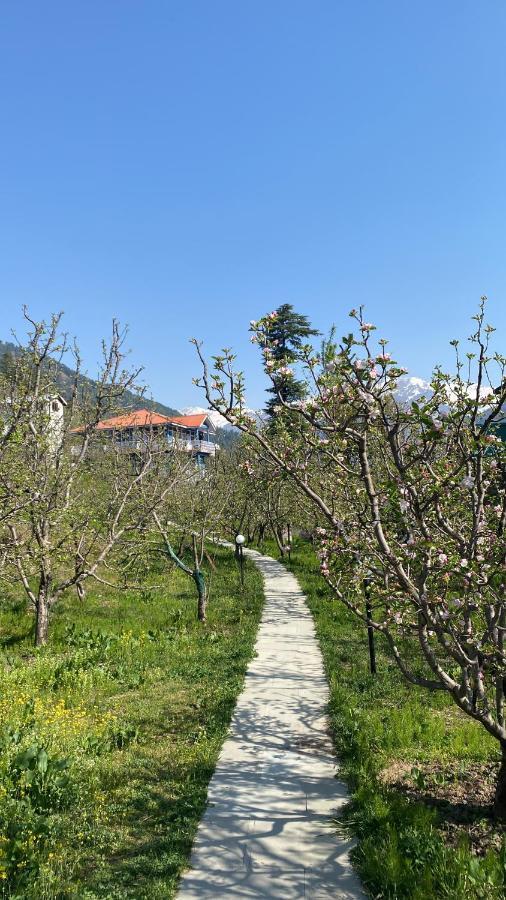 Homestay Sahira - The Orchard House
